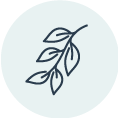 home-japanese-knotweed-claims-icon