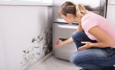 A Tenants Rights Explained – Housing Disrepair Claims